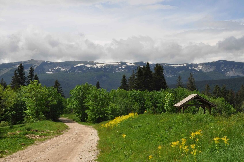 A dirt road leading to a wooden shelter, surrounded by green forest and mountains with snow-capped peaks. 5