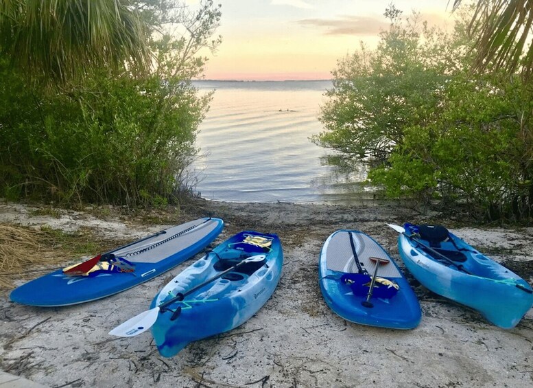 Kayaks lined up on a sandy beach with a calm body of water and vegetation in the background. 1