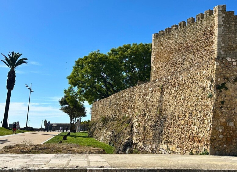 A stone wall with a palm tree and a clear blue sky. 4