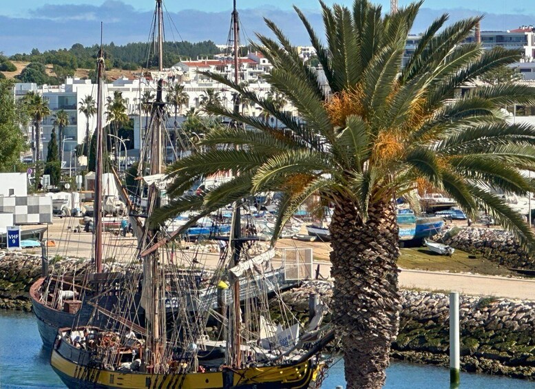 A coastal marina with a large sailing ship docked, palm trees, and buildings in the background. 1