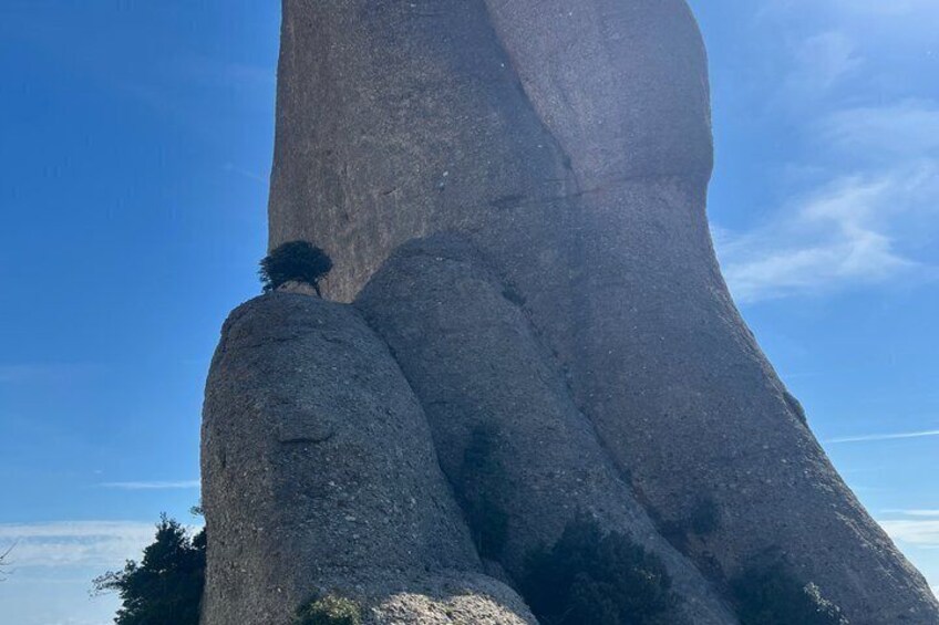 A large rock formation with a tree on top and a clear blue sky in the background. 2