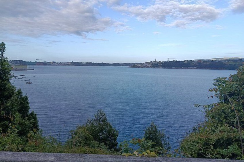 A calm lake with a distant shoreline, surrounded by greenery. 1