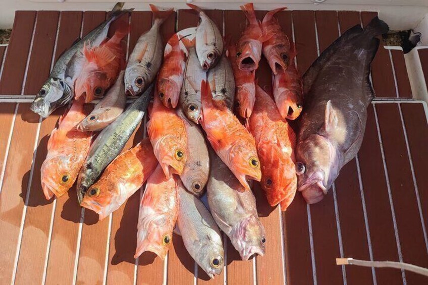 A variety of fish laid out on a wooden surface. 4