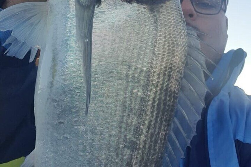 A large fish being held by a person. 5
