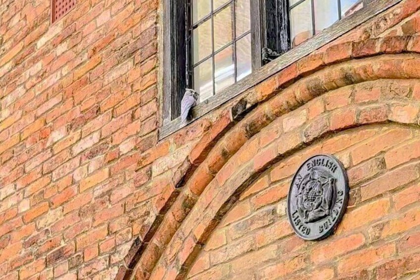 Original York Walks: Private Viking, Roman & History Experience 3