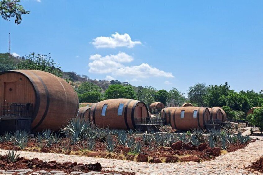 Large wooden barrels arranged in rows on a hillside with a clear sky. 2