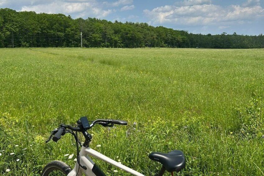 A bicycle in a grassy field with a forest in the background. 4