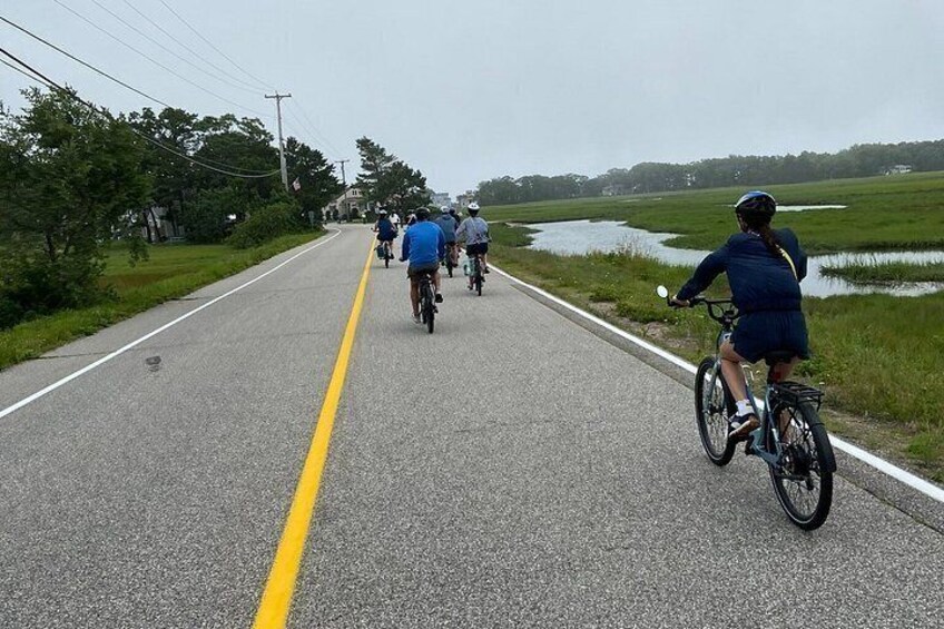 A paved road with a yellow centerline, surrounded by greenery and a body of water. 5