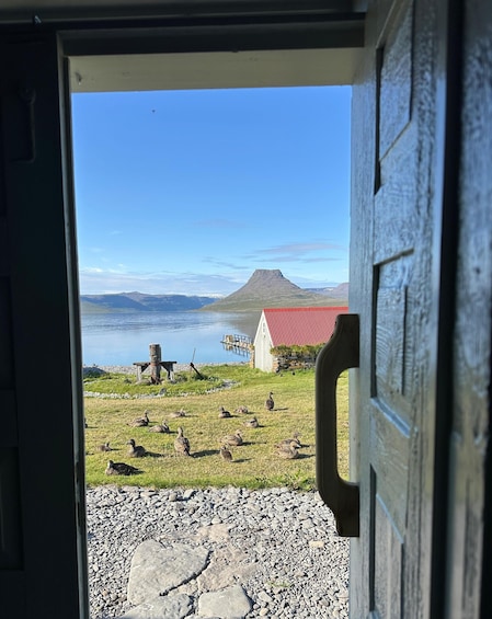 A doorway leading to a grassy area with ducks, a red-roofed building, and a mountain in the background. 4