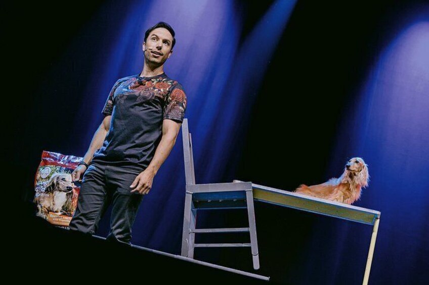 A person standing next to a chair with a dog on it. 2