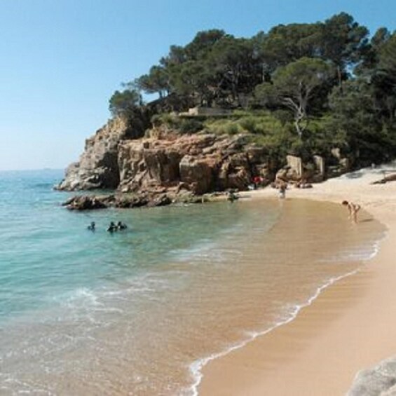 A sandy beach with clear water, rocky cliffs, and dense trees. 5