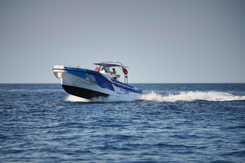 A speedboat with a blue and white color scheme, a person steering, and a wake behind it. 4