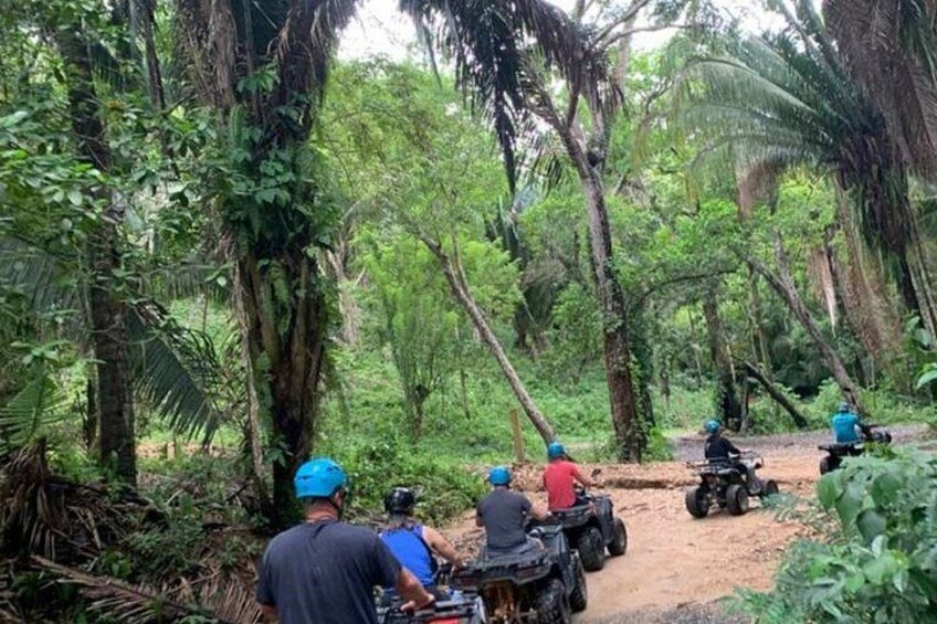 Roatan ATV Adventure, Island Tour and Craft Brewery Experience 2