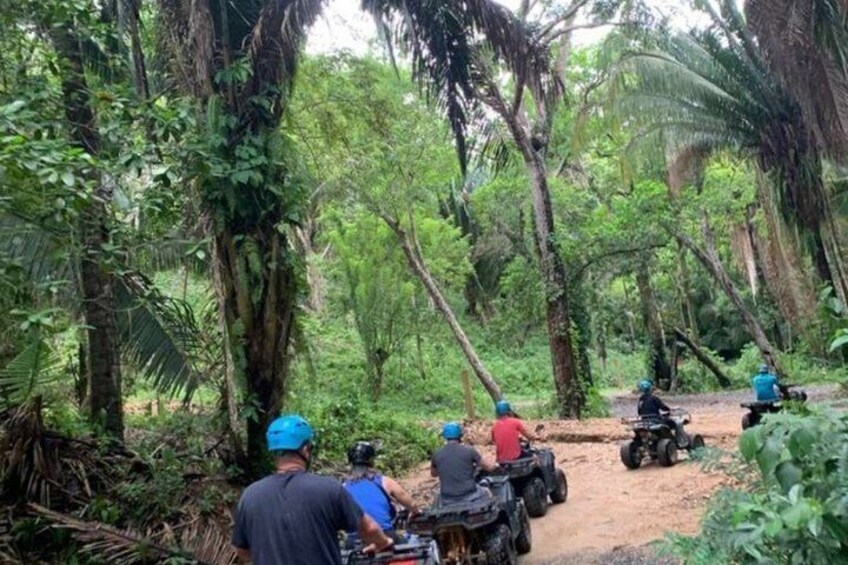 A group of people on quad bikes in a forested area. 2