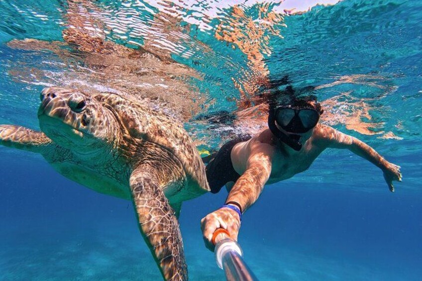 A person snorkeling with a sea turtle. 4
