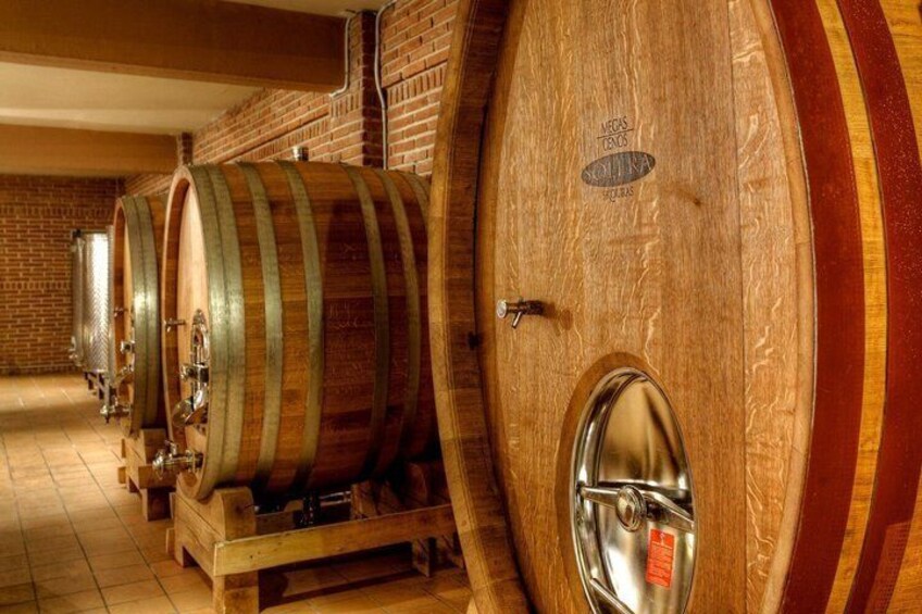 Wooden wine barrels in a cellar with a brick wall background. 4