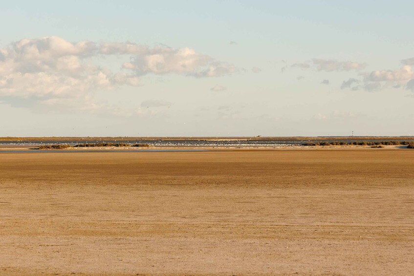 A vast, flat landscape with a distant shoreline and a small structure. 3