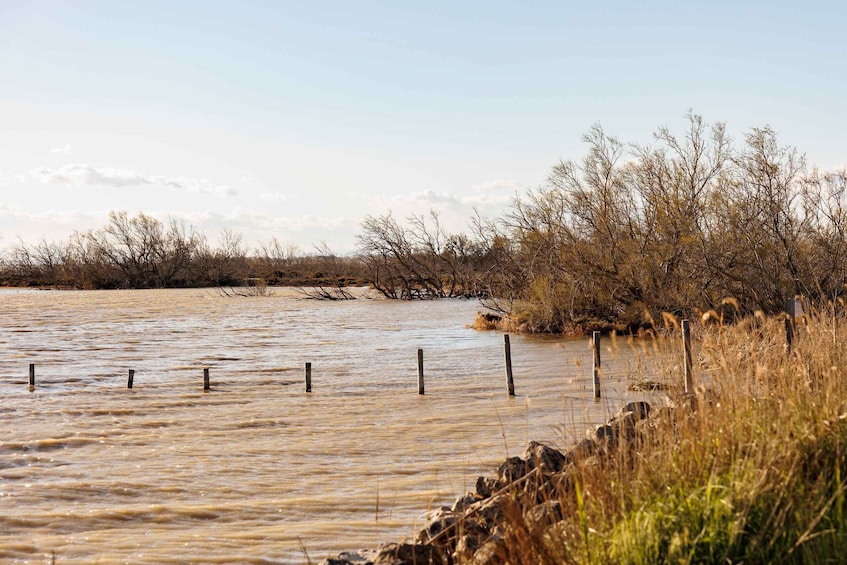 A flooded riverbank with sparse vegetation and a clear sky. 2