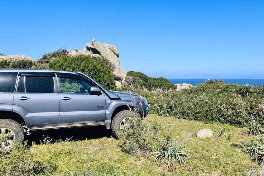 A silver SUV parked on a grassy hill with a rocky outcrop and ocean in the background. 5