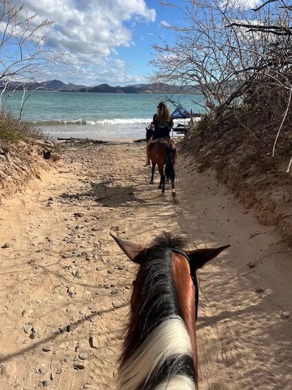 A horse and rider on a sandy path beside a body of water with mountains in the distance. 5