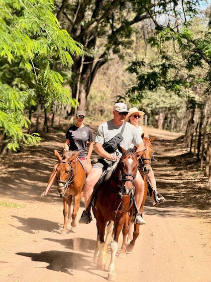 Three people riding horses on a dirt path through a forest. 1