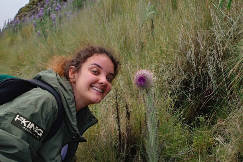 A person in a green jacket with a logo, standing next to a tall thistle plant in a grassy field. 4
