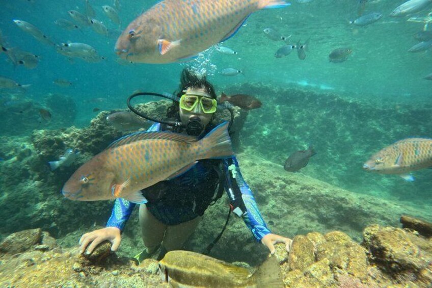 A diver holding a fish underwater with a school of fish in the background. 5