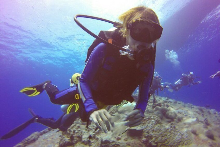 A diver in a blue wetsuit and yellow flippers, exploring an underwater rocky terrain. 2