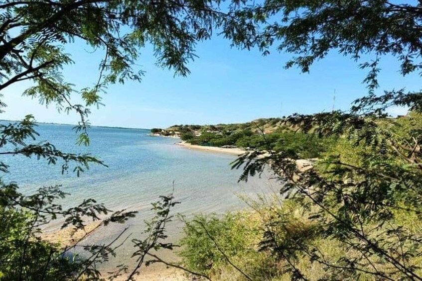 A coastal landscape with clear water, sandy beach, and dense greenery. 2