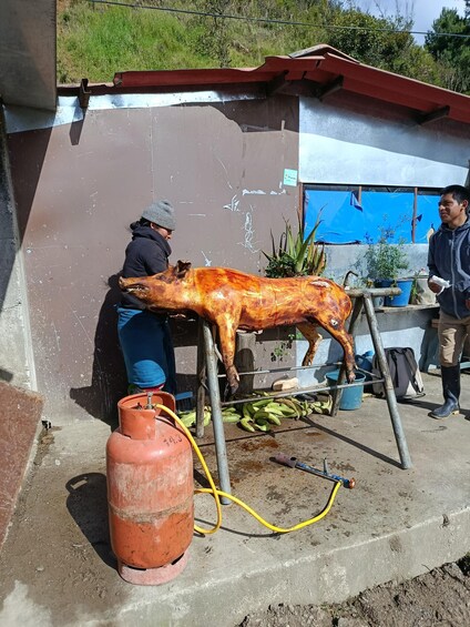 A person cleaning a roasted pig on a metal stand outdoors. 4