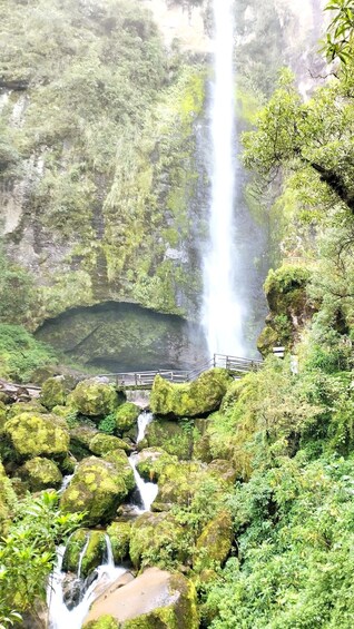 A waterfall cascading down a moss-covered cliff, surrounded by lush greenery and a viewing platform. 1