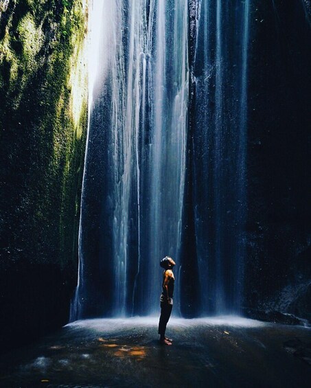Picture 4 for Activity East Bali Private tour: Gate of Heaven, Tirta Gangga & Ubud 4