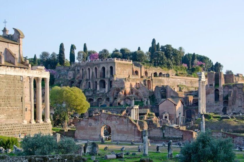 Ancient ruins with columns and arches, a large building with a dome, and a hill with trees and flowers. 3