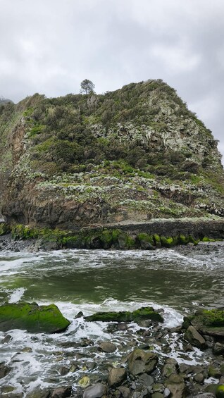 A rocky coastline with a small hill covered in greenery and a single tree. 4