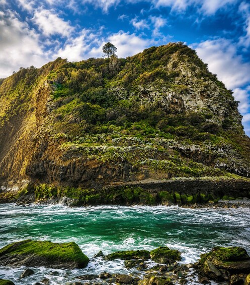 Picture 2 for Activity Madeira: Private Tour with Ruinas São Jorge and Cable Car 5