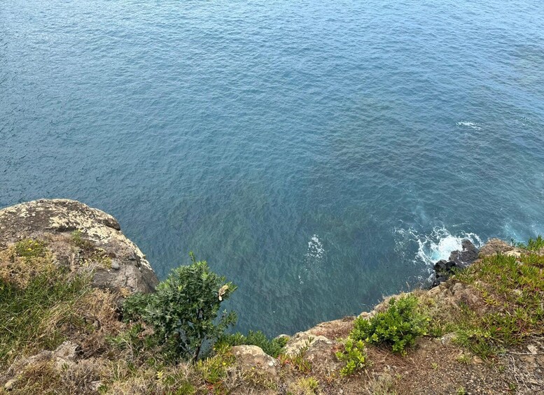 Picture 11 for Activity Madeira: Private Tour with Ruinas São Jorge and Cable Car 2