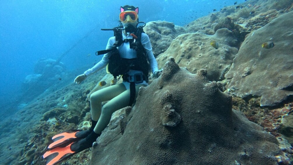 A diver seated on a coral formation with fins, surrounded by underwater marine life. 2