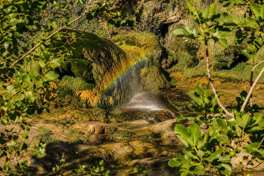 A waterfall with a rainbow, surrounded by greenery and rocks. 3