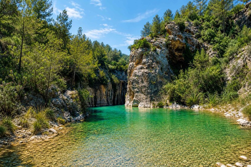 A clear turquoise river surrounded by rocky cliffs and dense green forest. 5