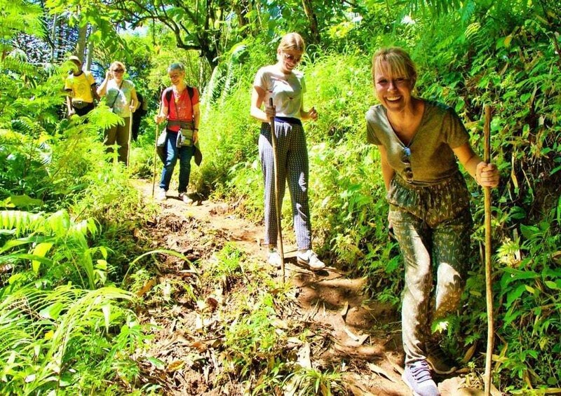 Bali: jungle trek, local cooking & hidden hot spring 1