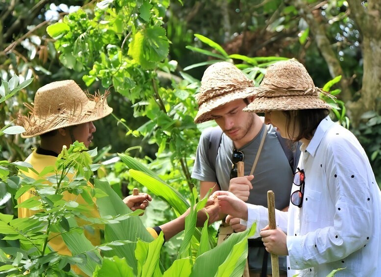 Picture 12 for Activity Bali: jungle trek, local cooking & hidden hot spring 5