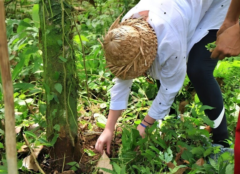Picture 6 for Activity Bali: jungle trek, local cooking & hidden hot spring 3