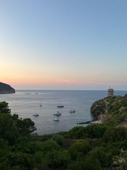 A coastal landscape with boats, a lighthouse, and dense greenery. 1