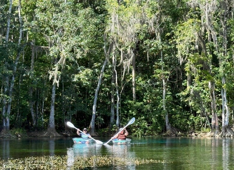 Two people kayaking on a calm river surrounded by dense forest. 5