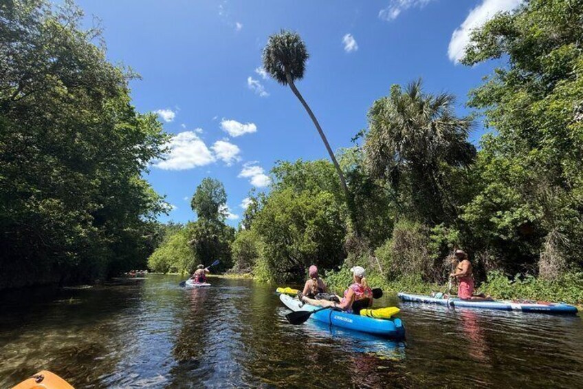 People kayaking on a river surrounded by dense greenery. 1