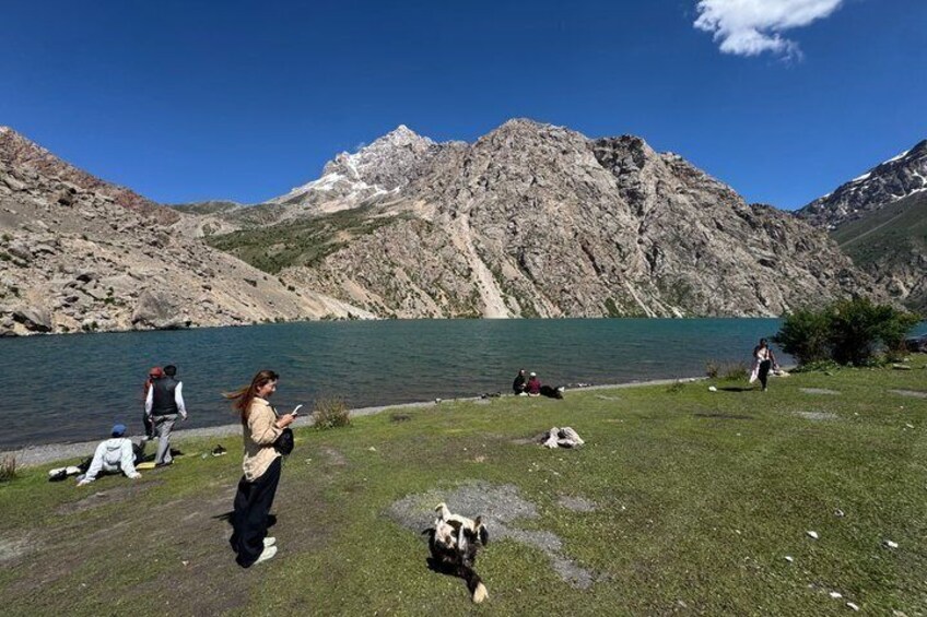 A lake with mountains in the background, people walking and sitting on the grass, and a dog. 5