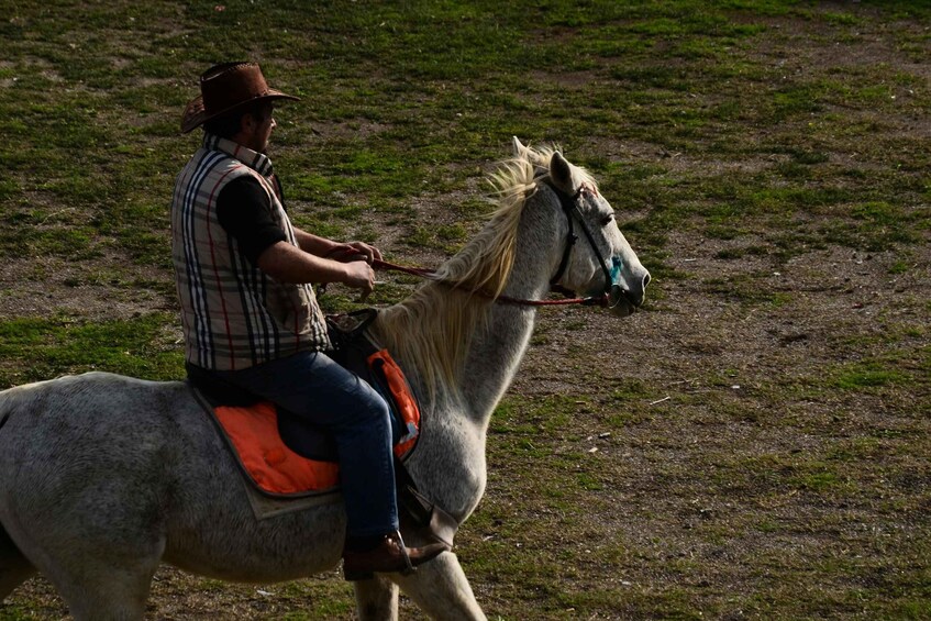A person riding a horse in a grassy field. 2