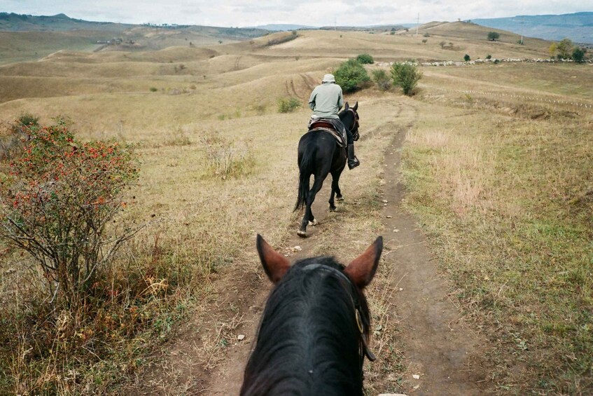A person riding a horse on a dirt path through a hilly landscape. 3