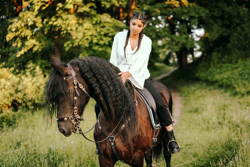 A person riding a horse on a grassy path with trees in the background. 1