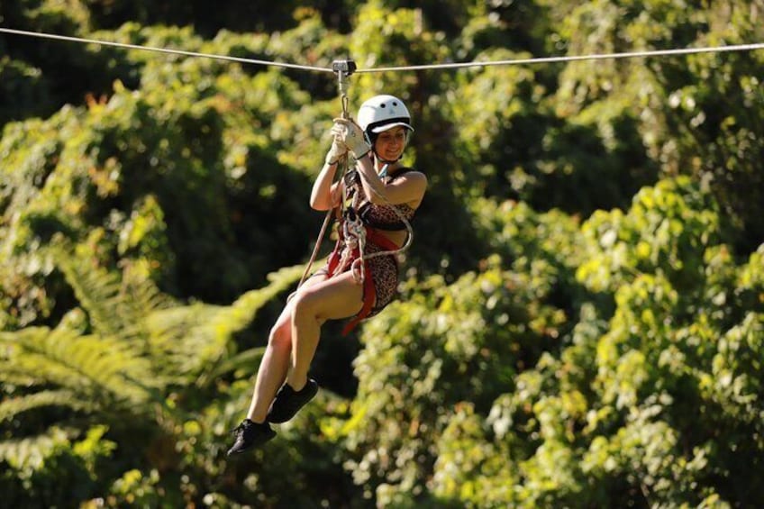 A person zip-lining through a forest. 1